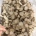 傲宇药材白芷小选货过12号筛货干