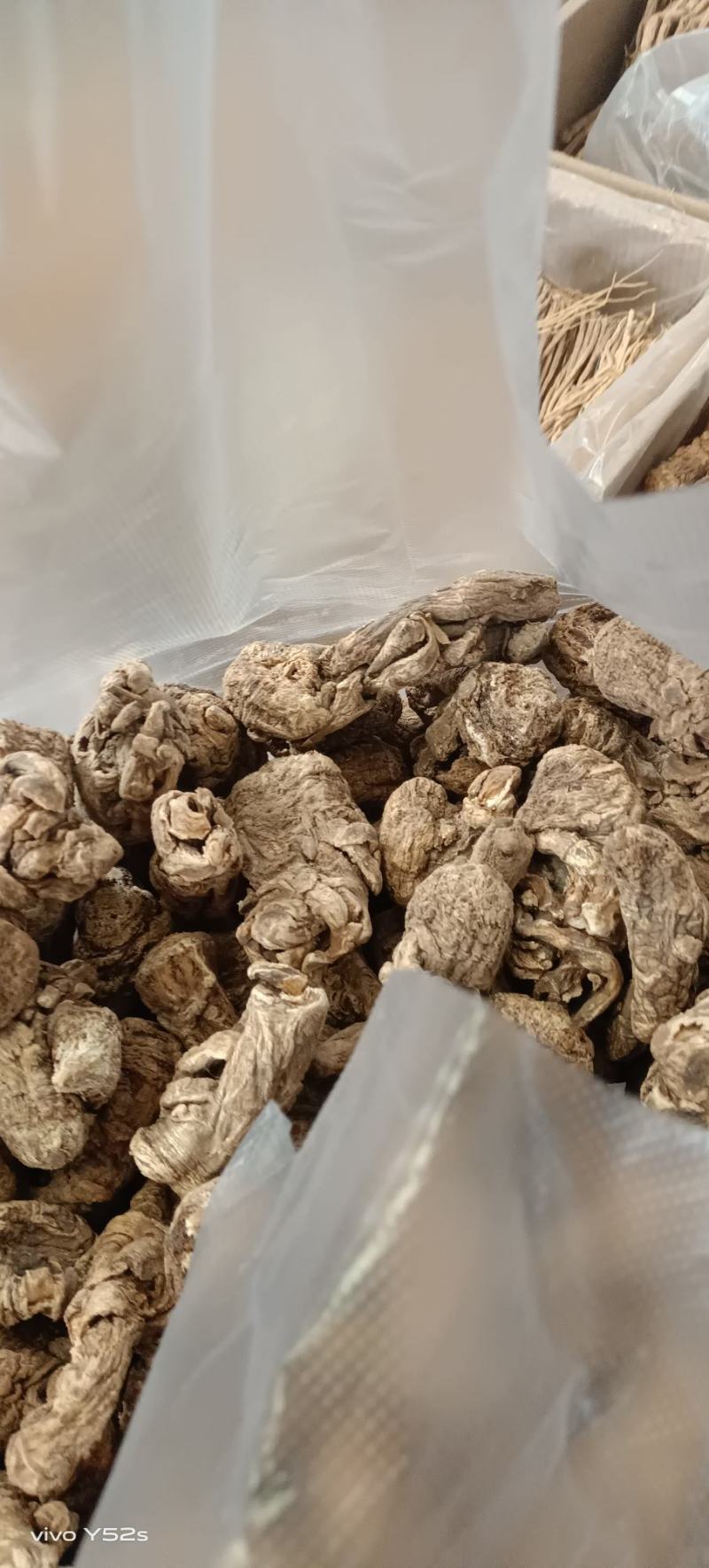 当归头片个天然野生当归价格实惠厂家直销精品药材值得信赖