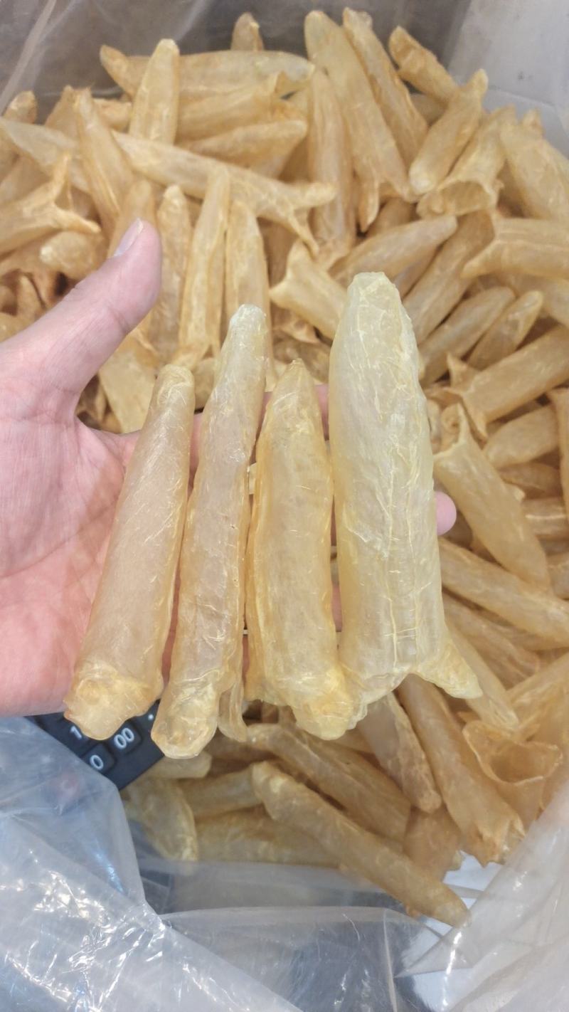 宁夏菌业大量批发黄花胶大量批发价格优惠有需要联系下单