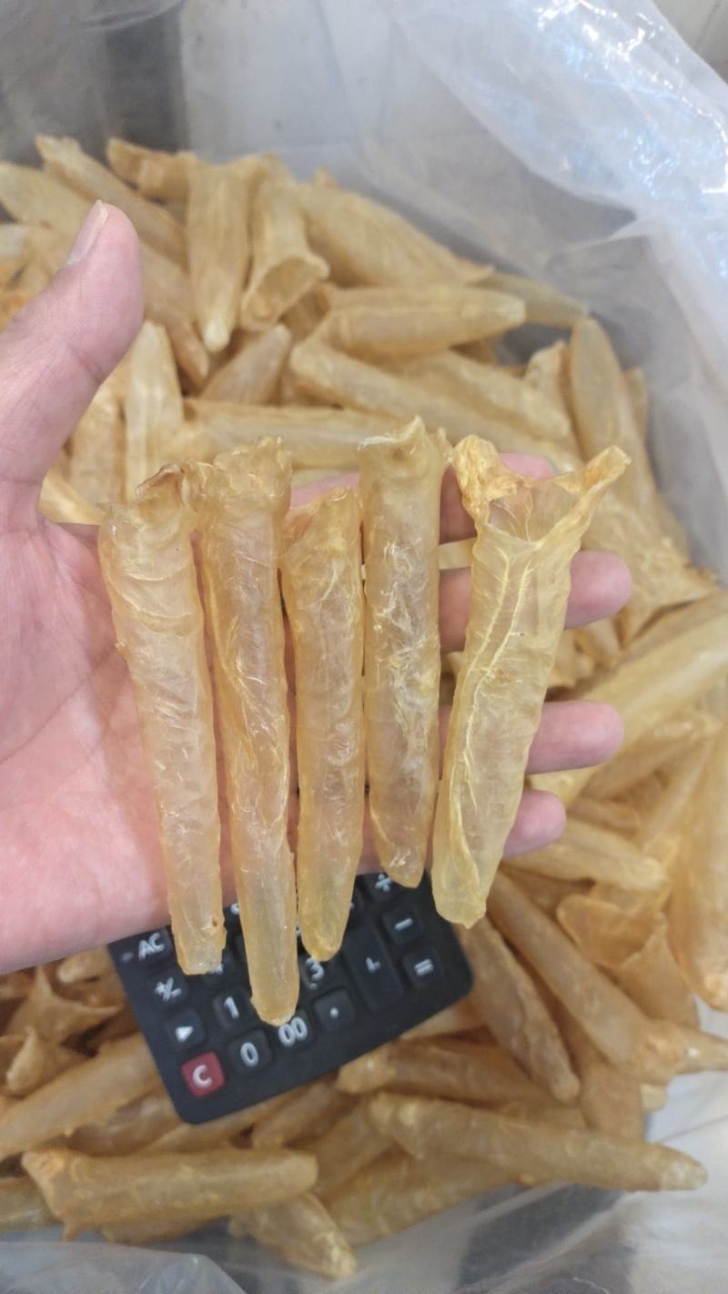 宁夏菌业大量批发黄花胶大量批发价格优惠有需要联系下单
