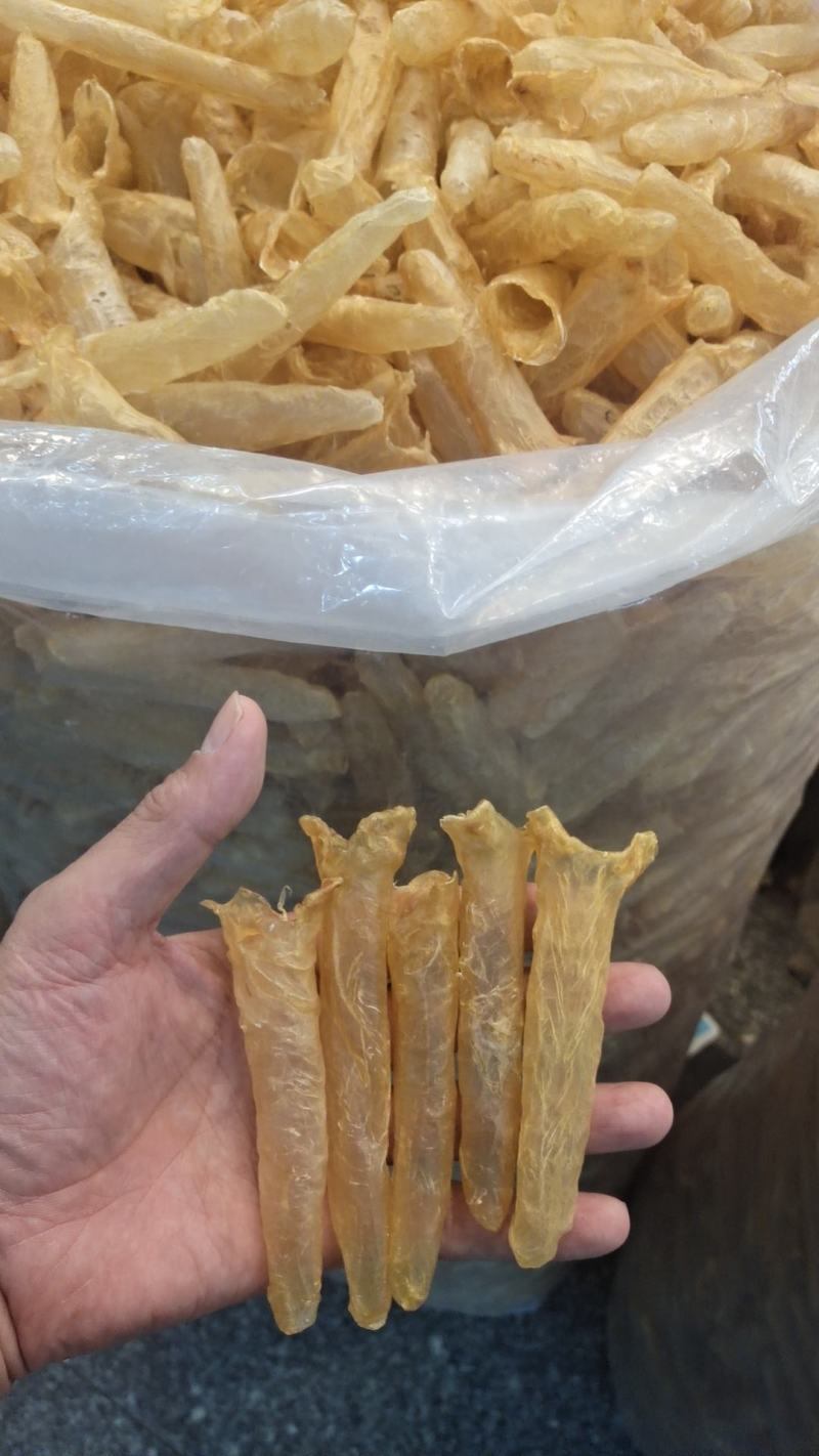 宁夏菌业大量批发黄花胶大量批发价格优惠有需要联系下单