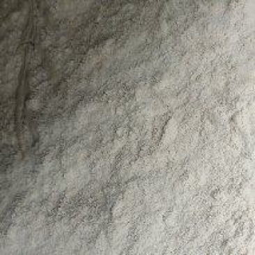 豆渣发酵豆渣四川成都饲料原料喂牛喂猪喂羊