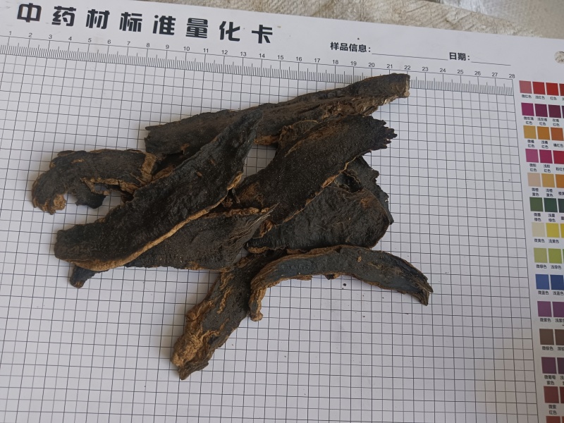 玄参产地一手货源，真实拍照有现货薄利多销24小时内发货