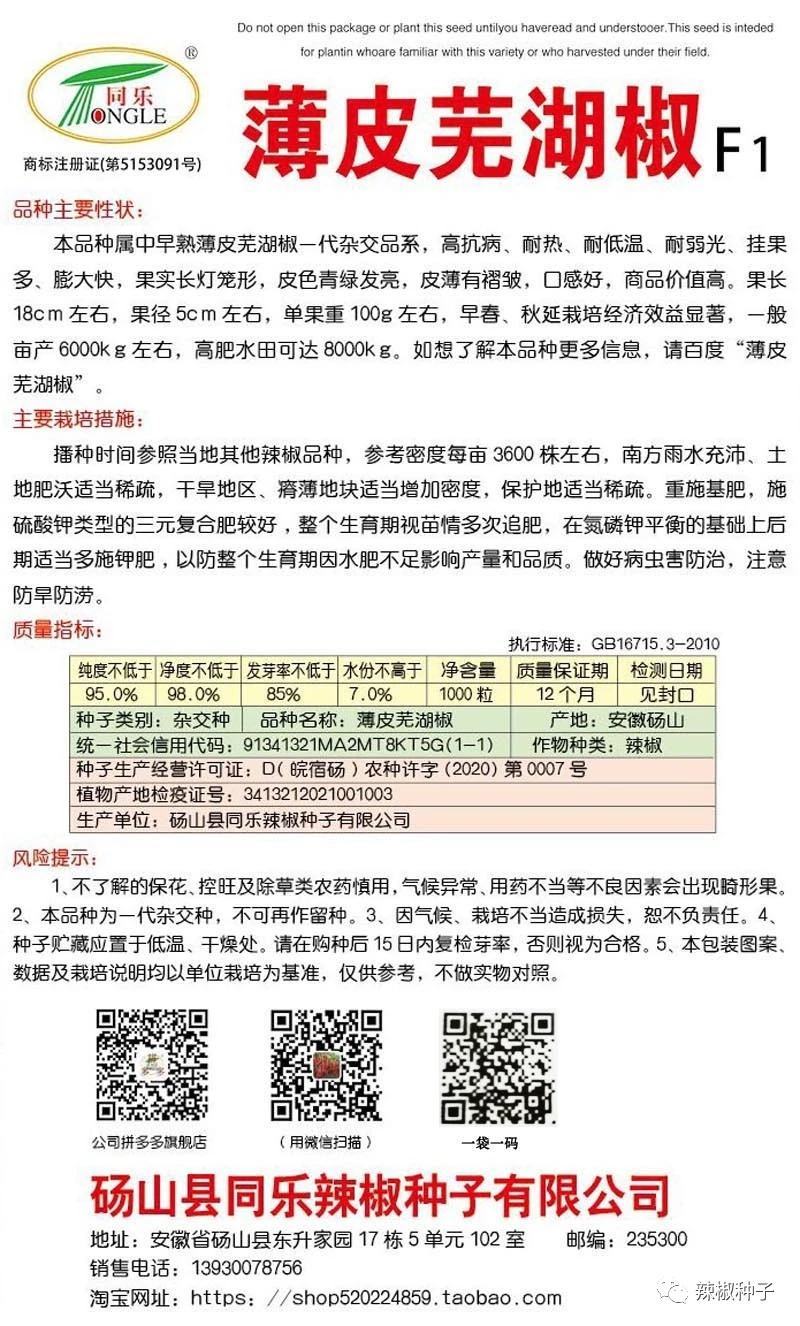 辣椒种子薄皮芜湖椒早熟大果薄皮绿油亮品质好抗病高产