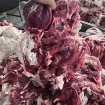 【热卖推荐】调理羔羊后腿包一手货源诚招合作伙伴