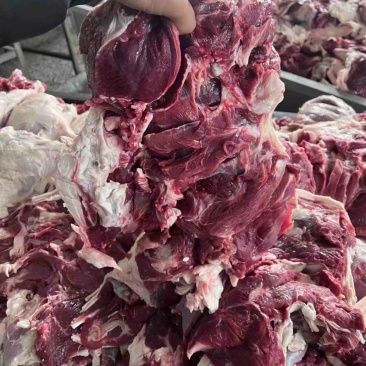 【热卖推荐】调理羔羊后腿包一手货源诚招合作伙伴