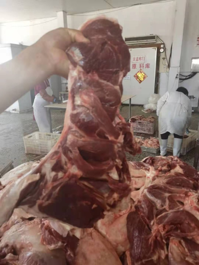 【热卖推荐】纯干羔羊去骨后腿包厂家批发价