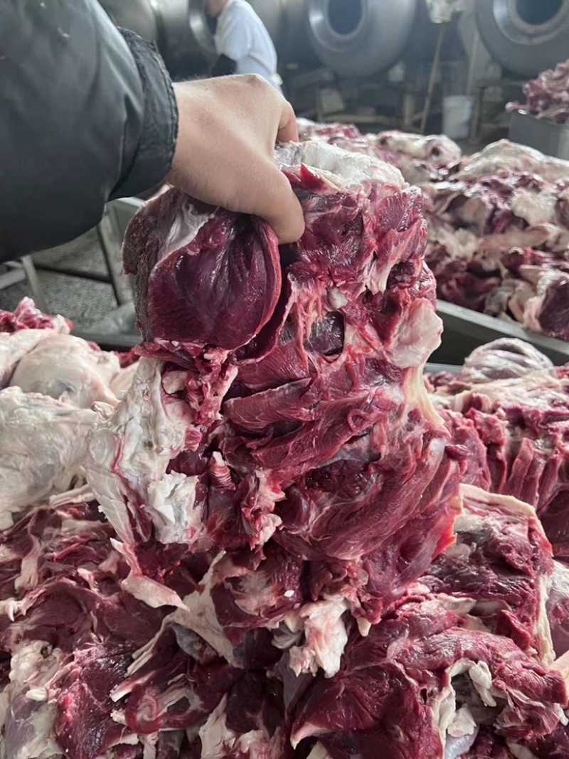 【热卖推荐】纯干羔羊去骨后腿包厂家批发价