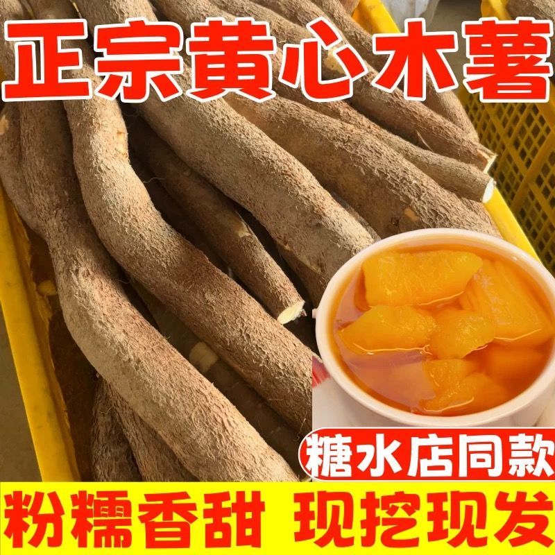 现货广西特产黄心木薯新鲜现挖黄肉面包木薯羹糖水店板栗木薯