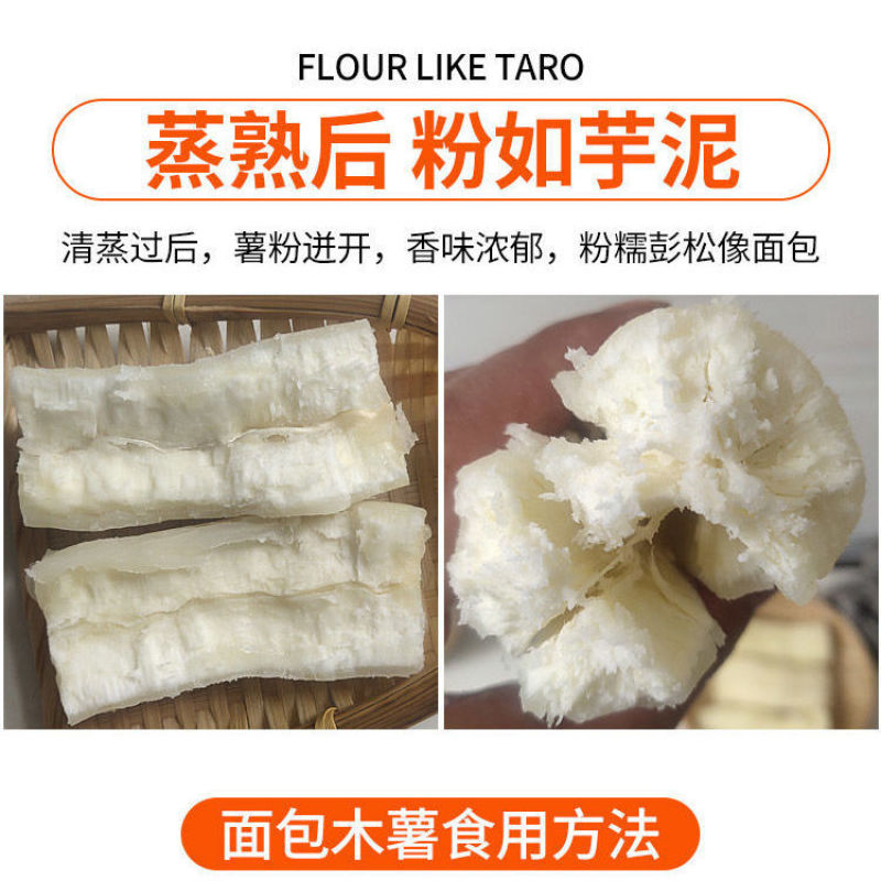 广西特产面包木薯新鲜现挖红皮白肉木薯批发