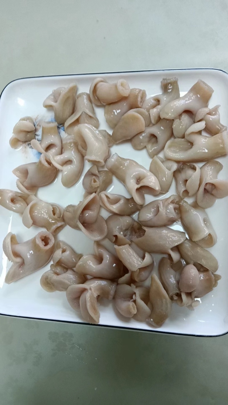 巴沙鱼肚