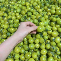 青甜2号小番茄，产地直发，对接商超，市场量大支持一件带发