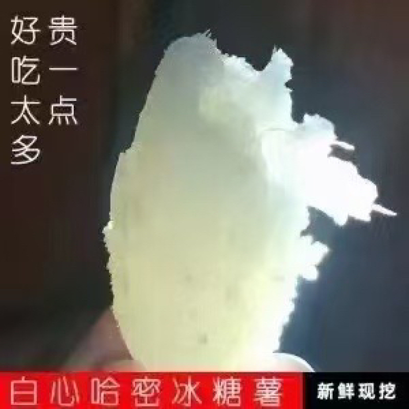 大量出售燕薯西瓜红有需要的联系