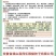 辣椒种子超前大椒大果型皮光肉厚卖相好抗病毒产量高