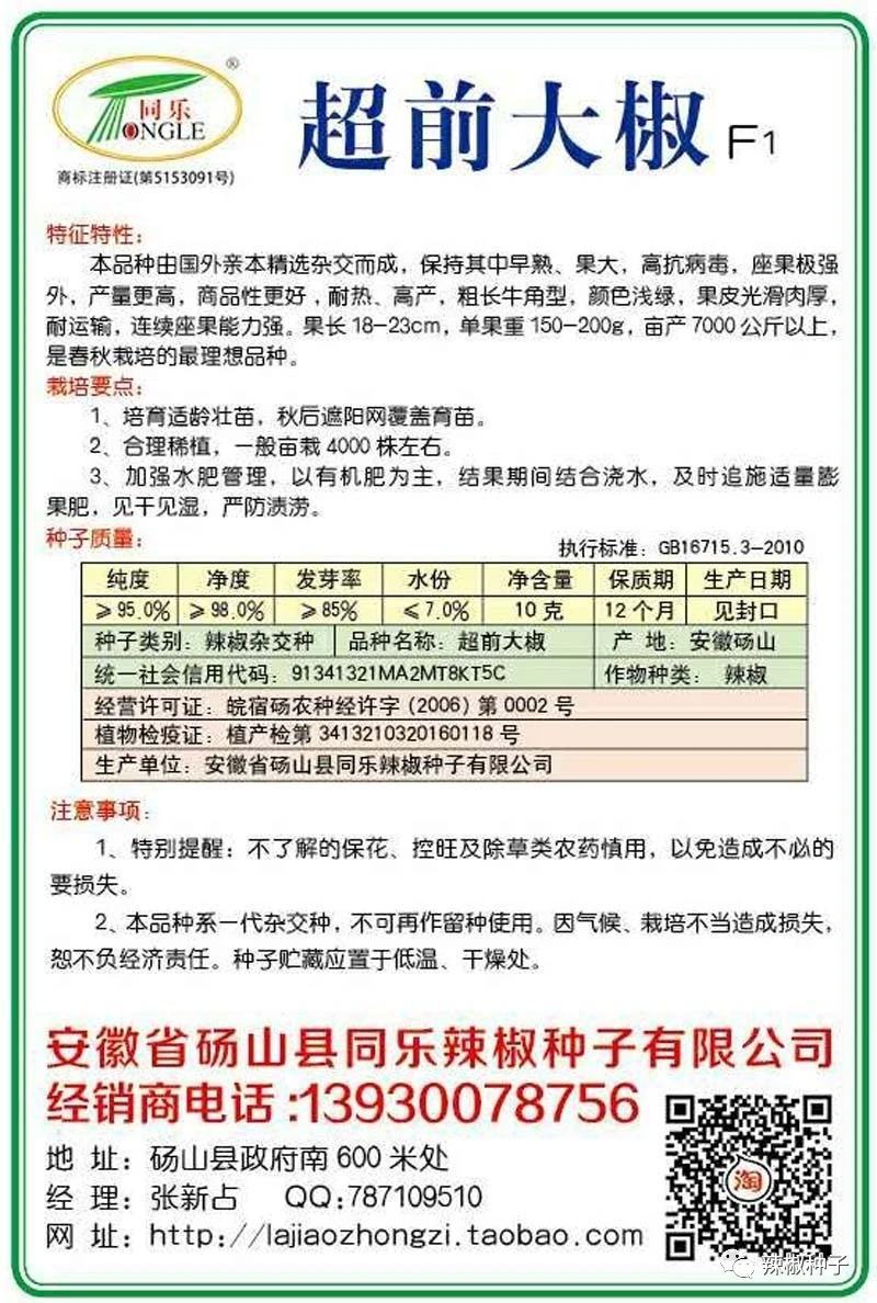 辣椒种子超前大椒大果型皮光肉厚卖相好抗病毒产量高