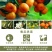 包邮【爆甜雪杉小蜜橘】现摘鲜甜无核薄皮红柑橘冰糖桔子新鲜