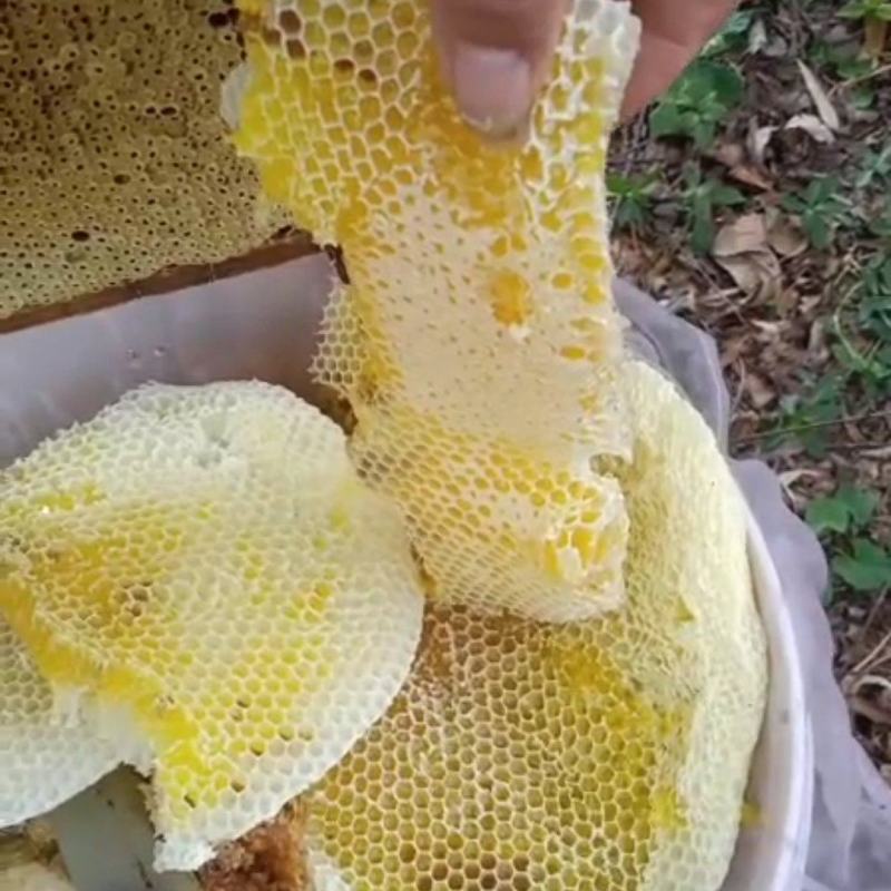 【推荐】土蜂蜜波美度42以上自产自销蜂蜜质量保证