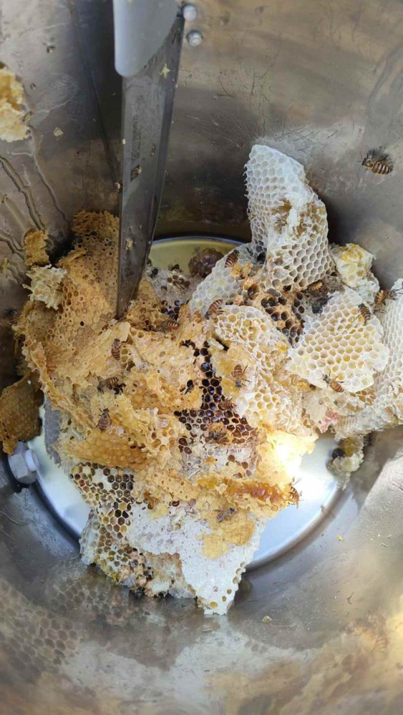 【推荐】土蜂蜜波美度42以上自产自销蜂蜜质量保证