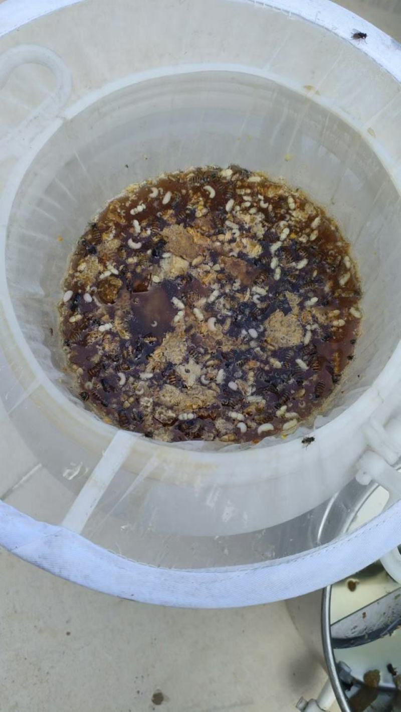 【推荐】土蜂蜜波美度42以上自产自销蜂蜜质量保证