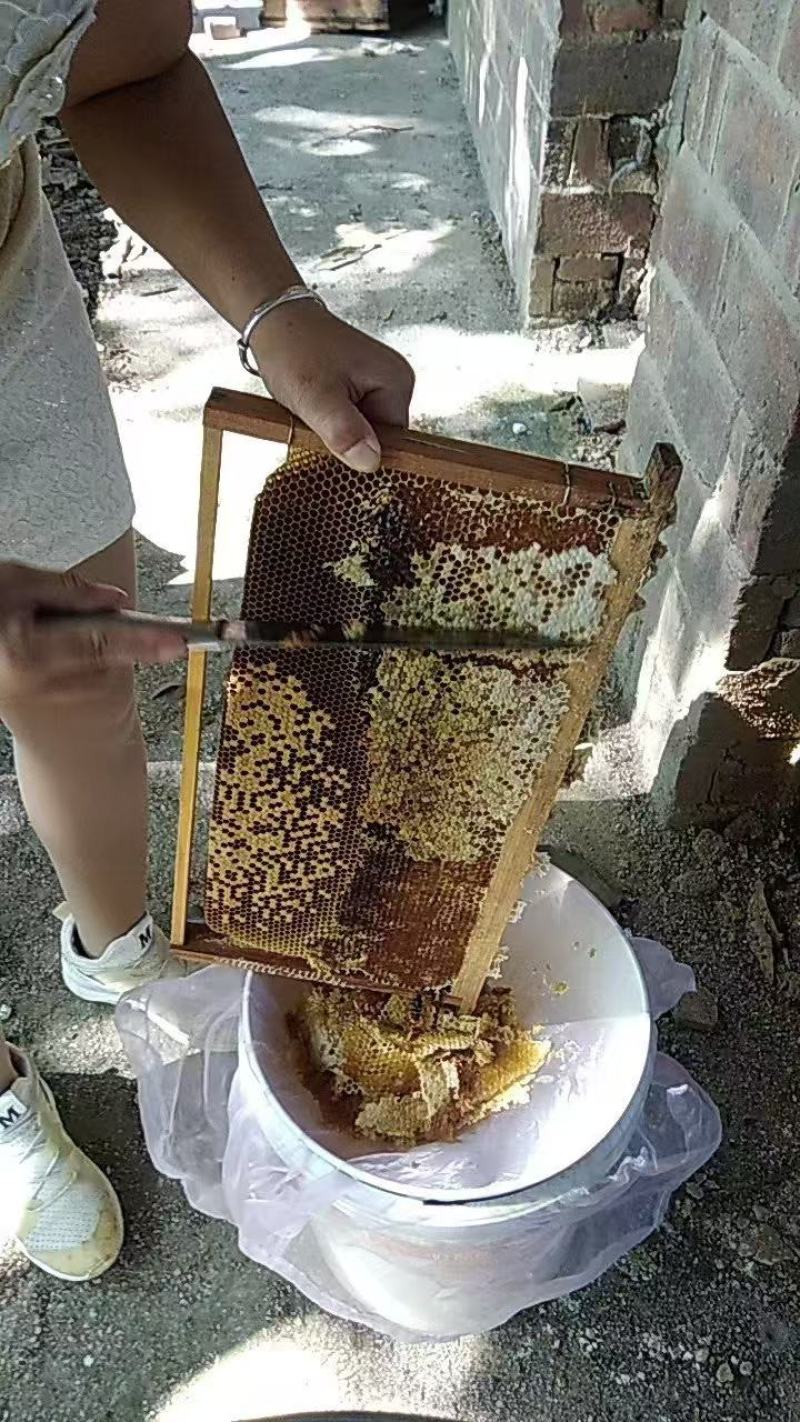 【推荐】土蜂蜜波美度42以上自产自销蜂蜜质量保证