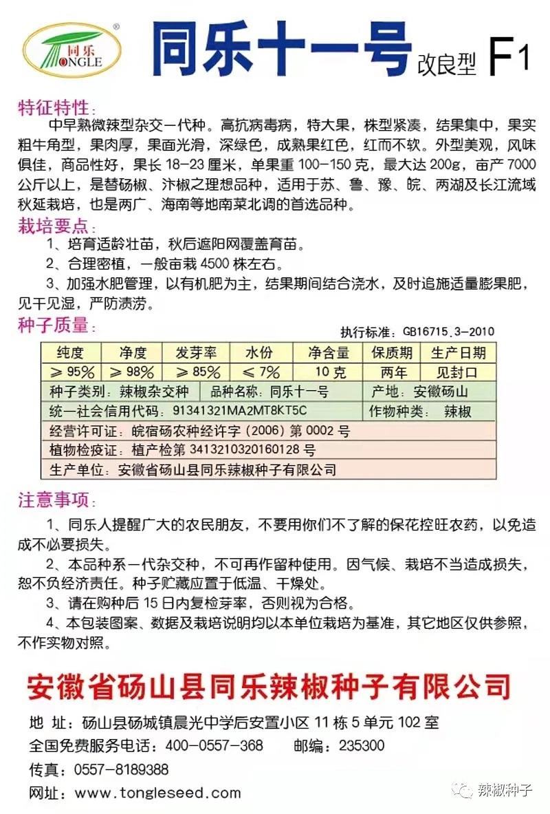 辣椒种子同乐十一号改良牛角椒大果肉厚红而不软产量高