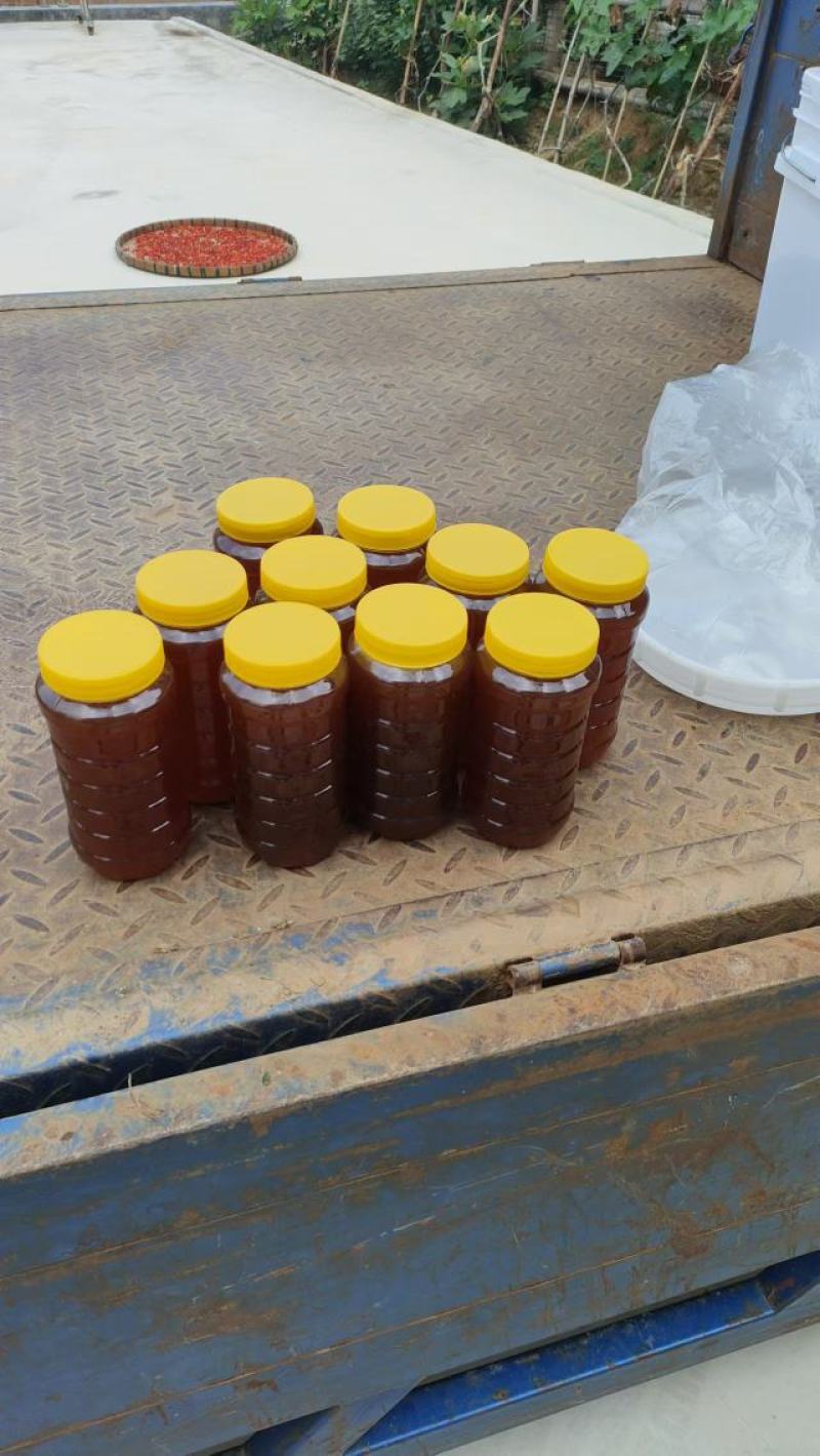 农家土蜂蜜深山蜂蜜农户自产自销保质保量欢迎咨询