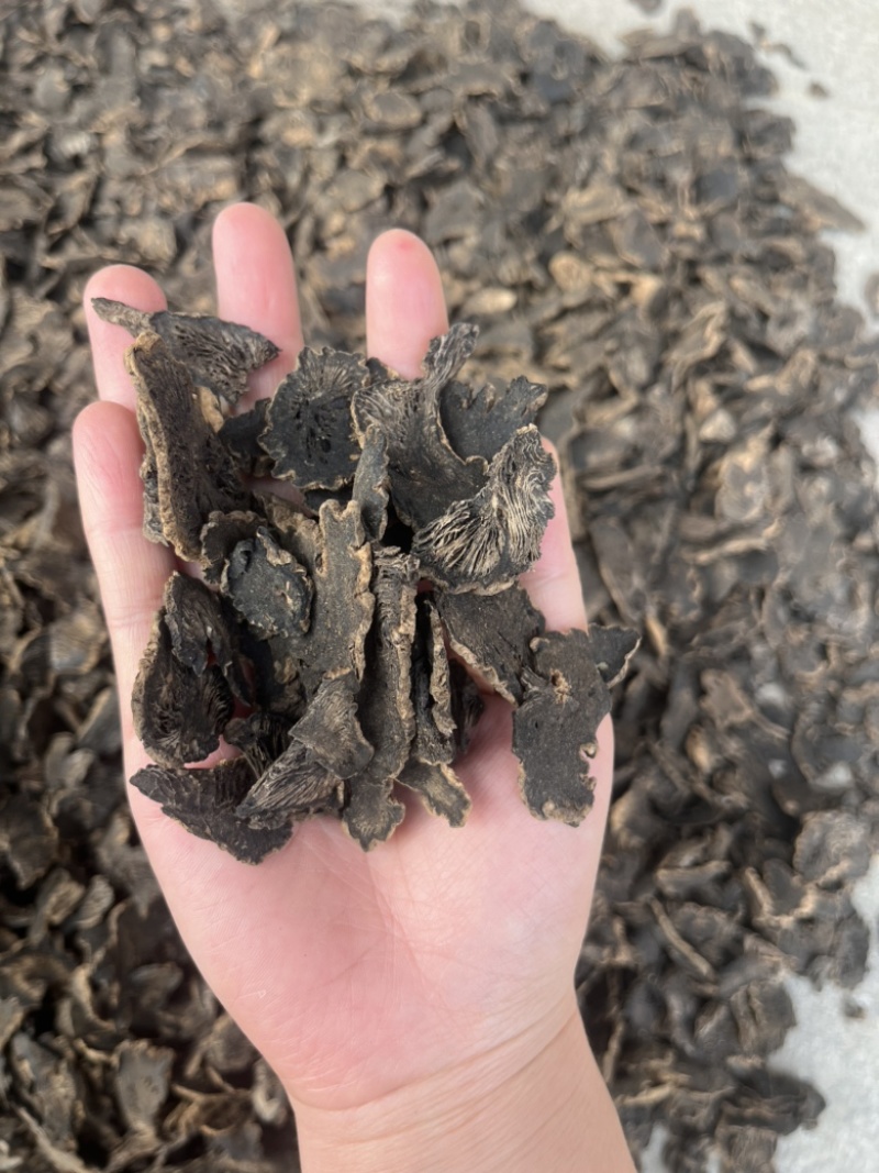 玄参元参产地一手货源质量保证量大从优