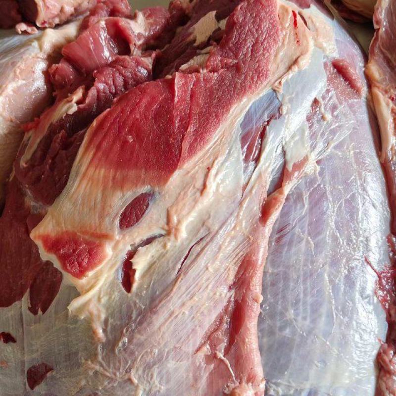 鲜冻牛肉