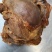 厂家直销全熟酱香腱子肉量大从优质量保证熟牛肉