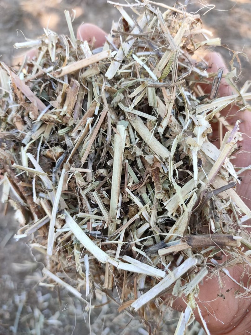 一级花生秧
