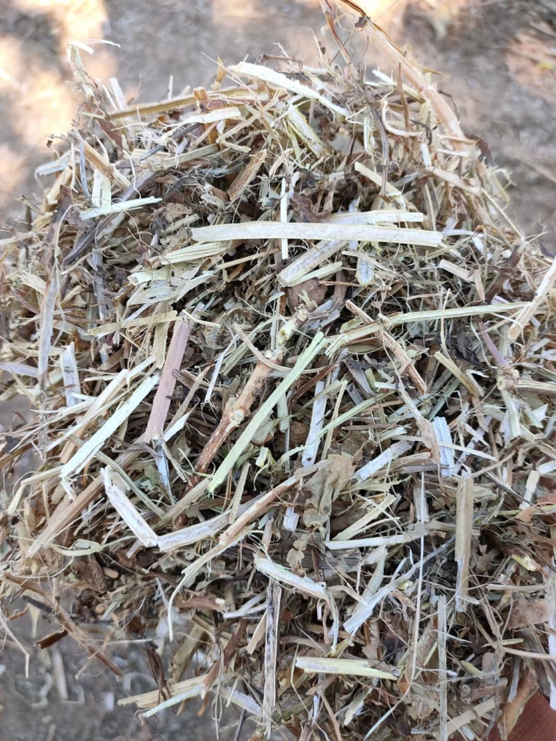 一级花生秧