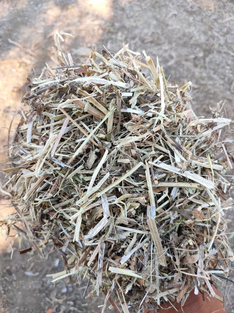一级花生秧