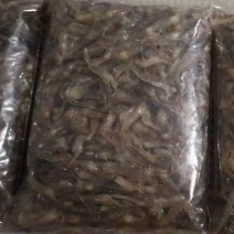 河虾，冻板河虾。冻河虾，小河虾。