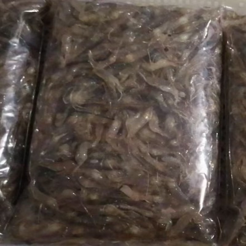河虾，冻板河虾。冻河虾，小河虾。