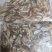 河虾，冻板河虾。冻河虾，小河虾。