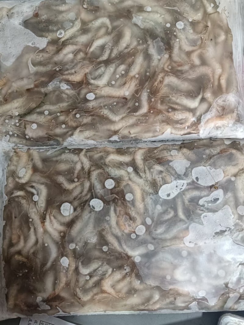 河虾，冻板河虾。冻河虾，小河虾。