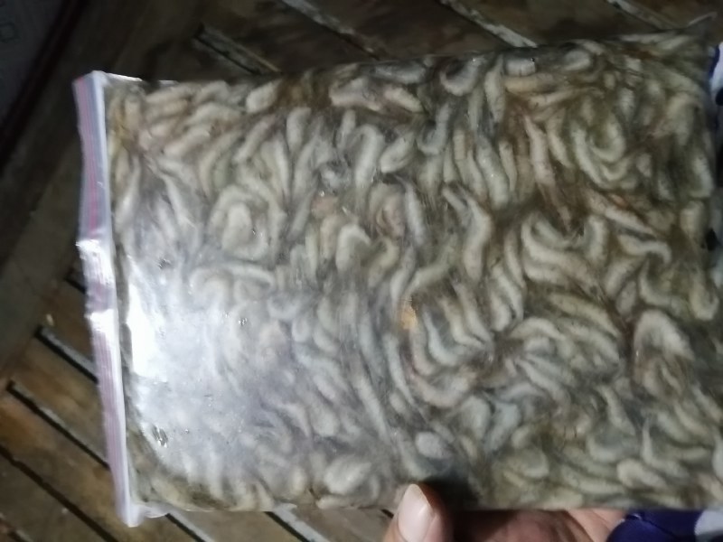 河虾，冻板河虾。冻河虾，小河虾。