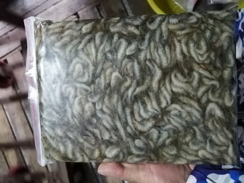 河虾，冻板河虾。冻河虾，小河虾。