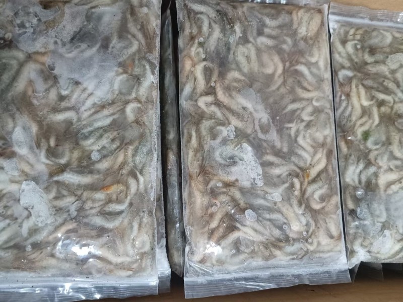 河虾，冻板河虾。冻河虾，小河虾。
