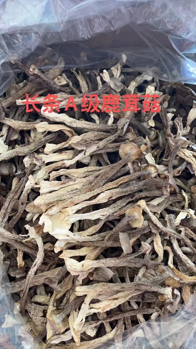 鹿茸菇全干切根A级长条小嫩仔大粗条鹿茸菇干货批发