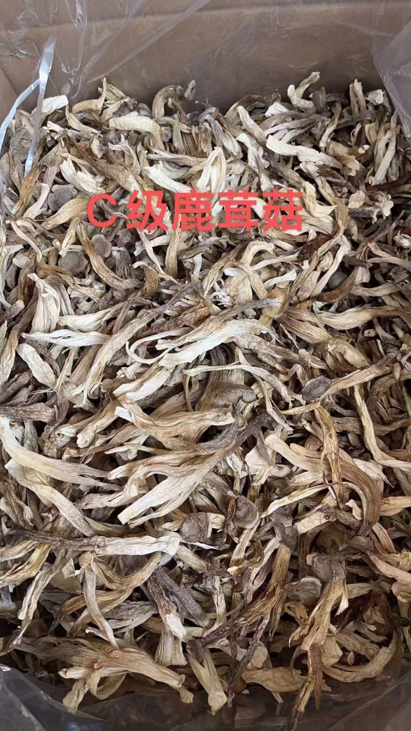 鹿茸菇全干切根A级长条小嫩仔大粗条鹿茸菇干货批发