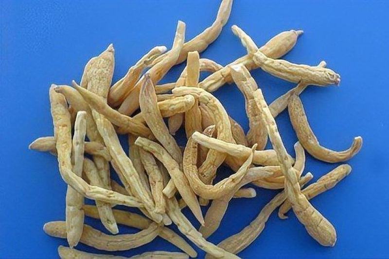 太子参种子，太子参子，孩儿参，5斤以上非边远地区包邮