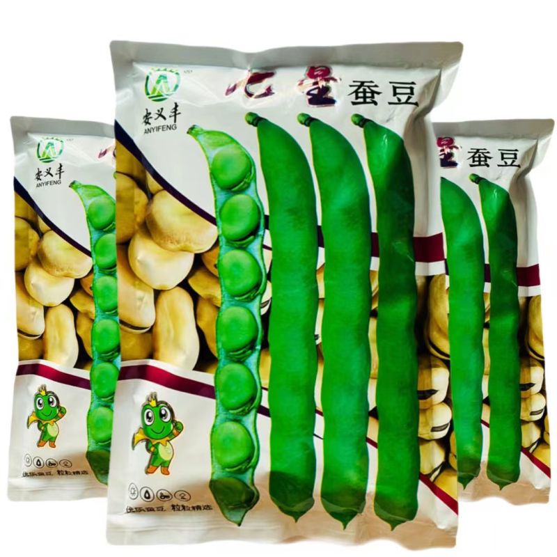 高产蚕豆种子北斗七星罗汉豆种籽春秋冬季播种早熟耐寒