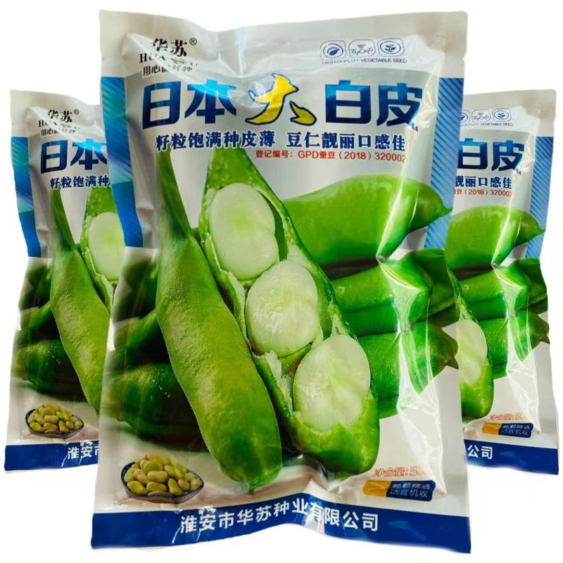高产蚕豆种子北斗七星罗汉豆种籽春秋冬季播种早熟耐寒