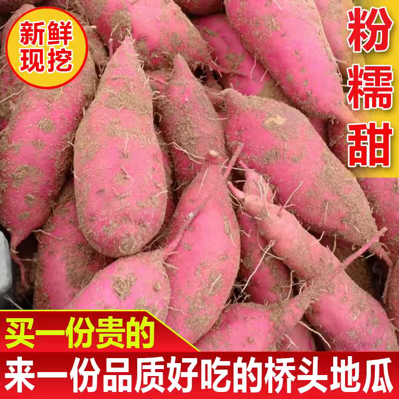 【西瓜红红薯】江苏红薯/自家种植/产地批发/欢迎来电