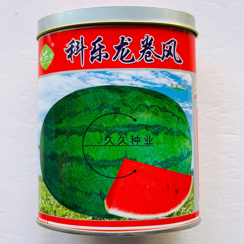 科乐龙卷风西瓜种子红瓤大果懒汉瓜王种籽口感好高产抗病