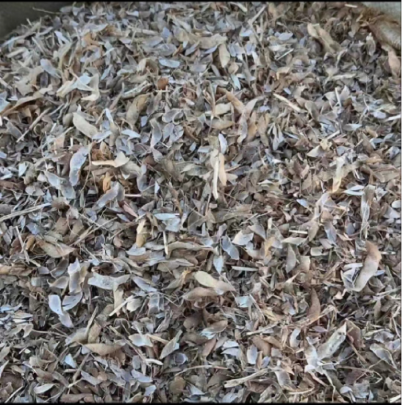 黄豆秸秆（黄豆皮子）负责装车一手货源没有中间商欢迎采购