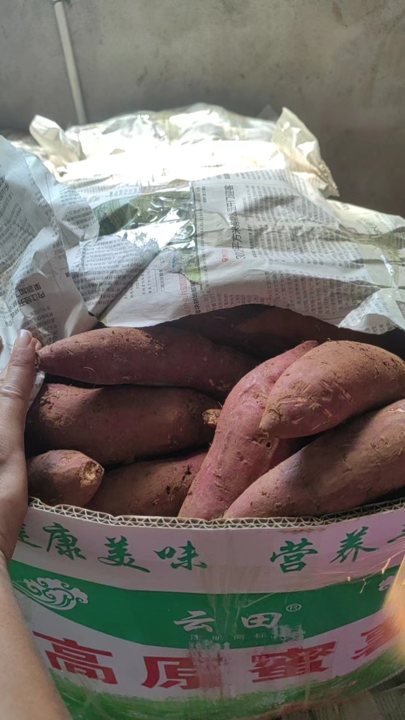 【榴莲蜜薯】品质好货软糯香甜价格详谈欢迎来电