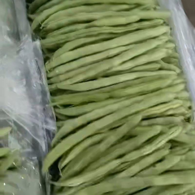 小金豆大量上市中，每斤2.5