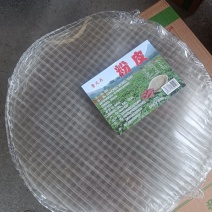 大粉皮，小粉皮，粉皮条